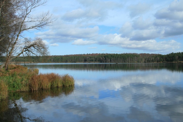 Plecháč — photo 2